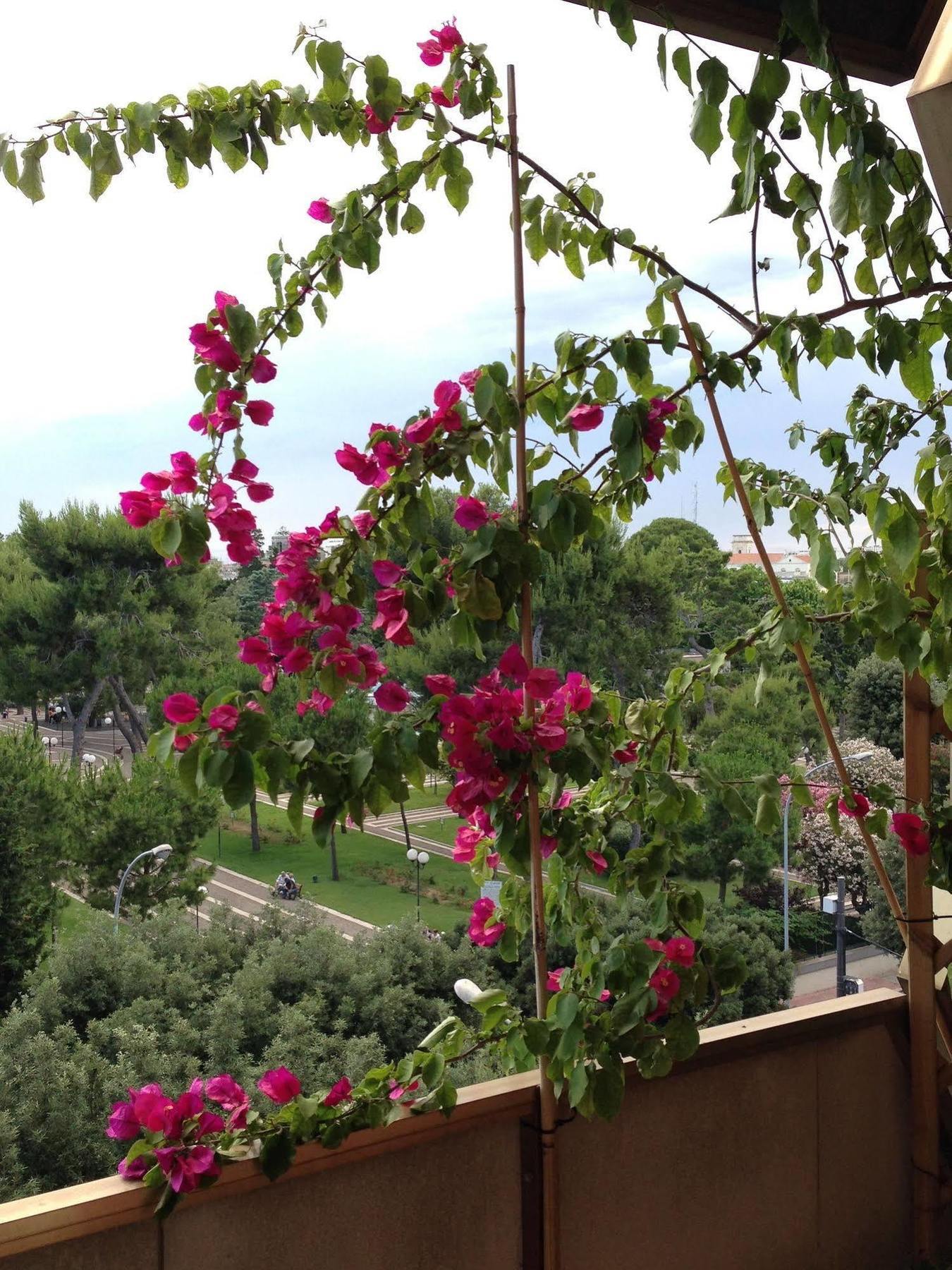 Larala' Bed and Breakfast Lecce Eksteriør billede